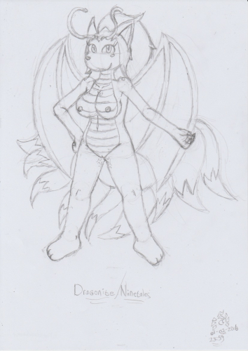 Dragonite:Ninetales_001