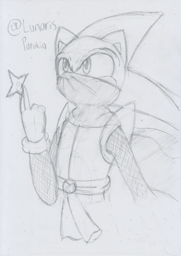 NinjaSonic_LunarisParukia
