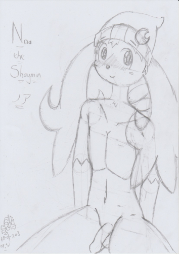 Shaymin_Noa_003