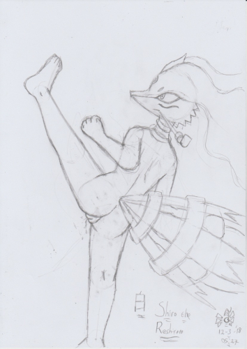 Shiro_no_Shinjitsu_Reshiram_004