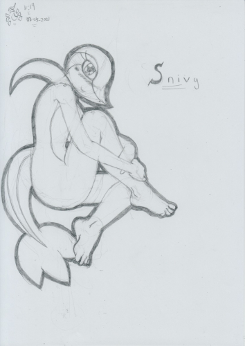 Snivy_001