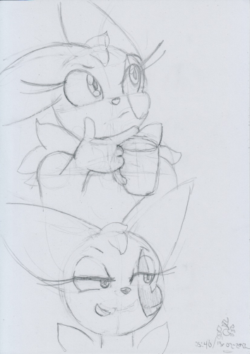 Zelia_Zangoose_Comic_002