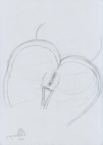 Zelia_Zangoose_Comic_003